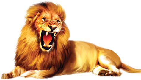 Lion Roar Png Free Logo Image