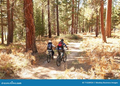 African American Couple Cycling Through Fall Woodland Stock Photo