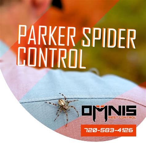 Parker Spider Control Omnis Pest Control