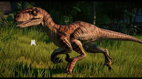 Velociraptor Skin Tweaks Jp And Tlw At Jurassic World Evolution Nexus Mods And Community