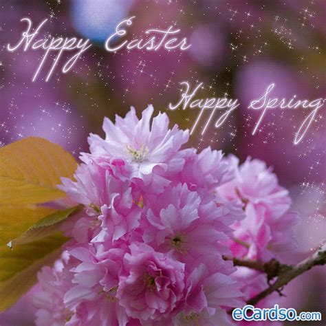 Happy Easter Happy Spring Pictures Photos And Images For Facebook