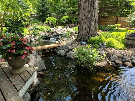 Aquatic Gardens And Landscaping Water