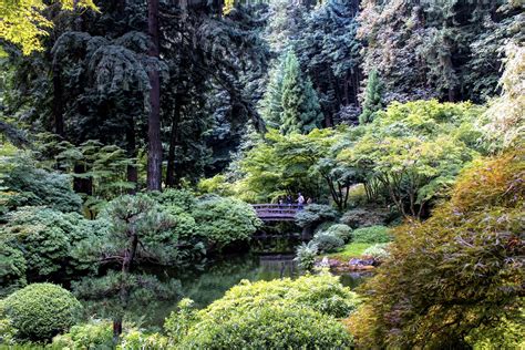 Portland Japanese Garden Usa