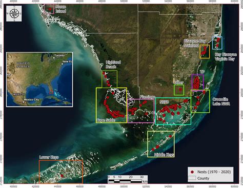 Frontiers | Natural and Anthropogenic Factors Influencing Nesting