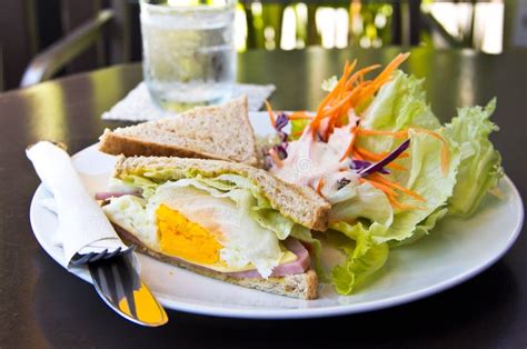 Breakfastclub Sandwich And Salad Stock Photo Image Of Fresh Meat