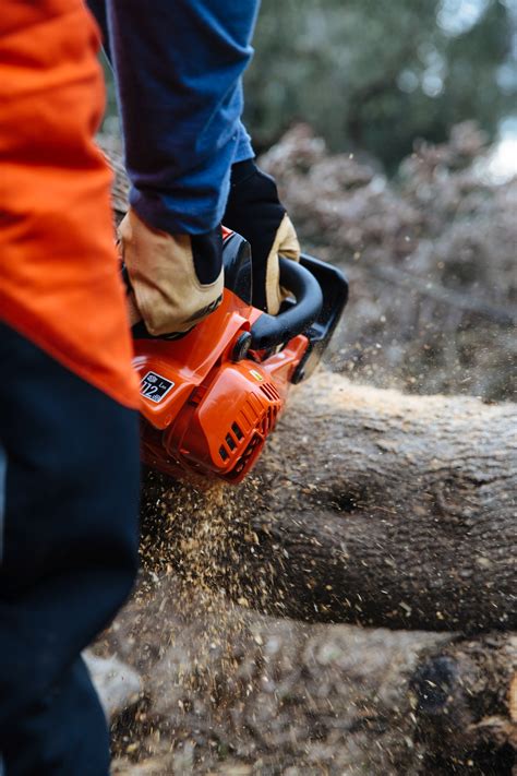 Maybe you would like to learn more about one of these? Walfins | Echo CS361WES Chainsaw