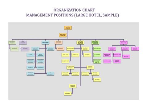 Marriott Organizational Structure Chart Focus