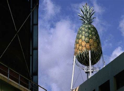 Americas Weirdest And Most Interesting Water Towers