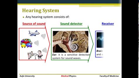Physics Of Ear And Hearing Youtube