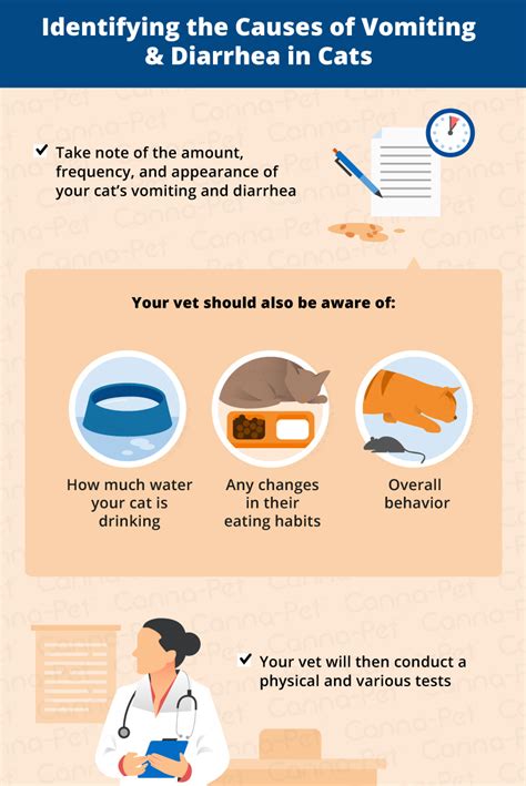 It can happen with food intolerances or allergies, obstructions, or giving a cat prednisone can also make some causes of vomiting (such as pancreatitis, diabetes and kidney disease) worse. Causes of Vomiting & Diarrhea in Cats | Canna-Pet