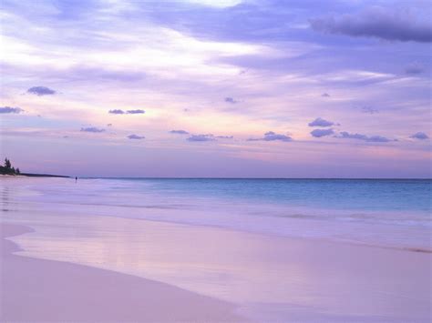 Nature Pink Sands Beach At Dusk The Bahamas Picture Nr 47167 Isla