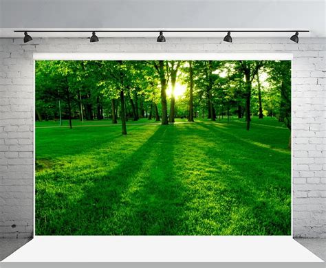 Laeacco Spring Shine Green Forest Landscape Photography Backdrops Vinyl