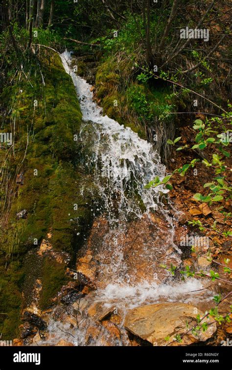 Mountain Stream Waterfall Stock Photo Alamy