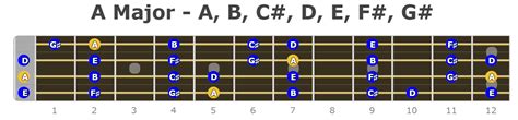 Bass Guitar Major Scales Notes Fretboard Diagrams Bass Player Center