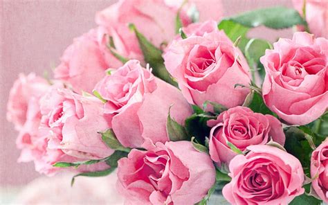 Fresh Flowers Bouquet Of Pink Roses Hd Desktop Backgrounds