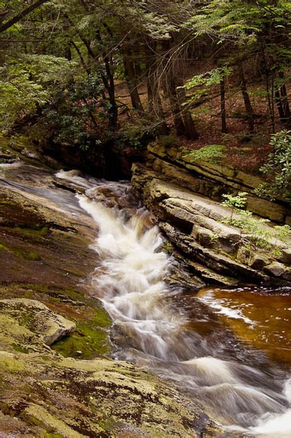 Thom Adorney Images New England Streams And Woods Peterskill Steps