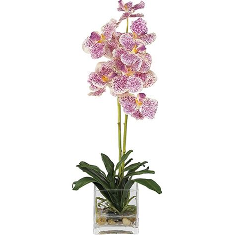 Shop Silk Vanda Orchid Arrangement With Glass Vase Free Shipping Today Overstock 3344470