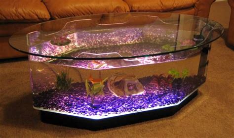 Best fish tank coffee tables. New Coffee Table Aquarium Long Octagon Fish Tank Kids or ...