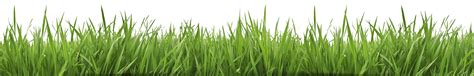 Fake Grass Png Transparent Hd Photo Png Svg Clip Art For Web