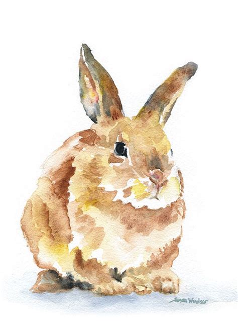 Bunny Rabbit Watercolor Woodland Animal Art Bunny Art Watercolor