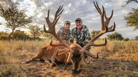 Poitahue Ranch Red Stag Hunting By Argentina Heritage Outdoors