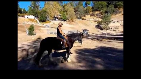 Annie Riding Esther Youtube