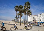 Venice Beach: What to Do and Where to Go