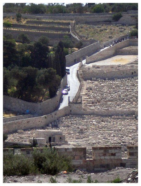 Palm Sunday Road Cant Wait To Visit Israel Again In September