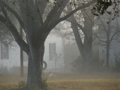 Pinehurst Ga Across The Street From My House One Foggy Morning