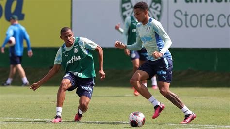 palmeiras faz treino técnico e segue preparação para semifinal contra o ituano palmeiras