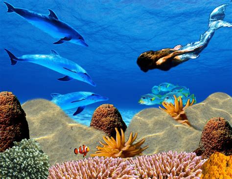 Jerdees Art Classes Digital Art Underwater Ocean Scene