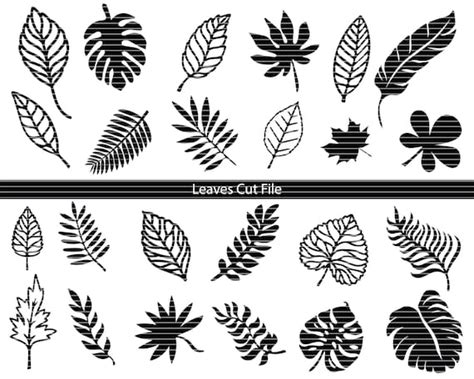 Leaves Svg Bundle Leaf Svg File Leaf Designs Leaves Etsy Uk