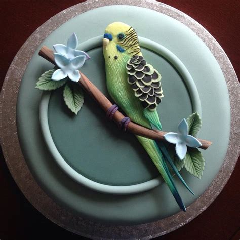 Cakes By Lyndsey On Instagram Budgie Cake Budgie Birds Budgiecake