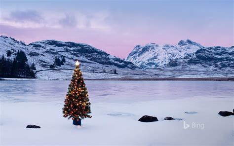 Bing Christmas Tree Wallpapers Wallpaper Cave