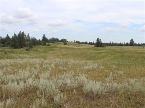Nature Conservancy Of Canada Releases Plan To Protect Prairie