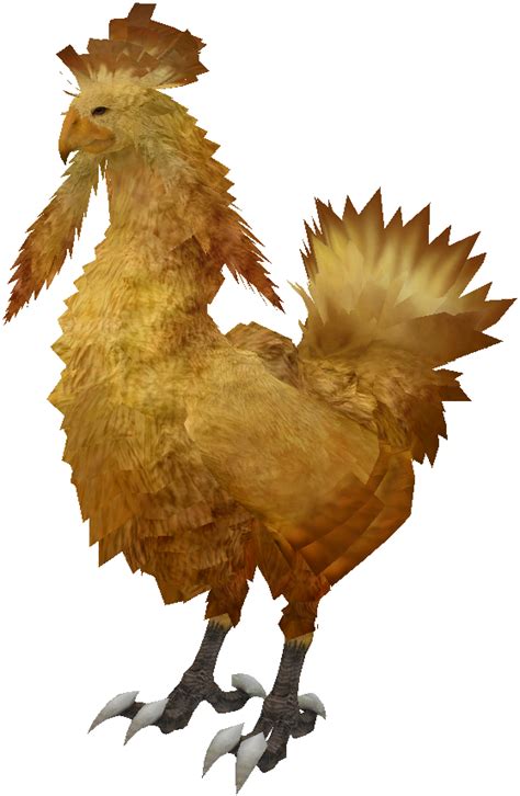Chocobo Final Fantasy Xiii Final Fantasy Wiki Fandom Powered By Wikia