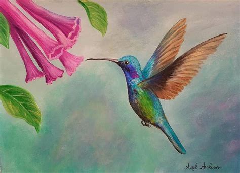 Hummingbird Acrylic Painting Tutorial By Angela Anderson On Youtube Hummingbird Art Painting