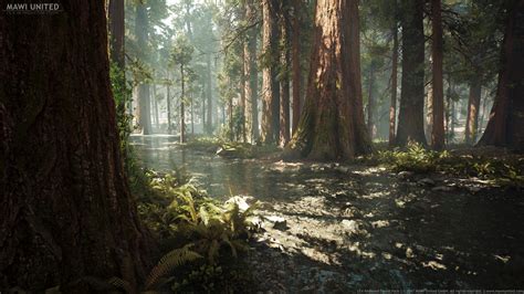 Redwood Forest Collection By Mawi United Gmbh In Environments Ue4
