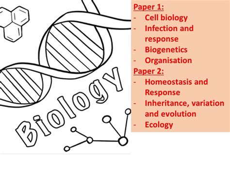 Gcse Biology Powerpoints Complete Revision Teaching Teaching Resources