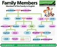Family members - English Vocabulary