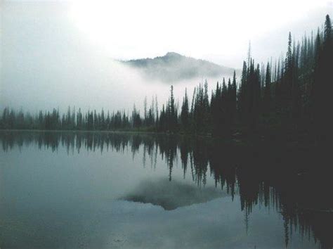 Pretty Cold Lake Landscape Trees Water Dark Nature