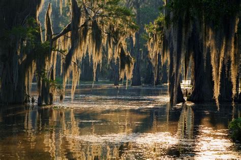 Louisianas Mississippi Delta Is One Of The Most Biologically Diverse