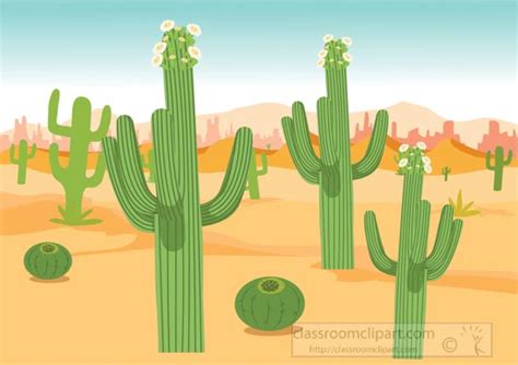 Cactus Clipart Clipart Several Saguaro Cactus In The Desert Clipart