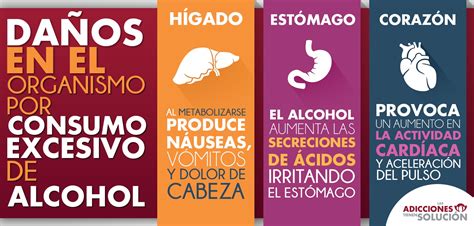 Efectos Del Alcohol En El Organismo Las Adicciones Tienen Solución