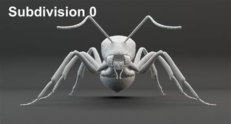 3d model rigged ant vr ar low poly cgtrader