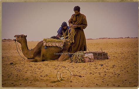 Mali Salt Caravan Travel Photographs By Rosemary Sheel