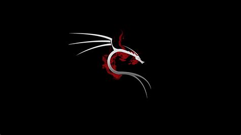 Tons of awesome kali linux wallpapers 1920x1080 to download for free. 2560x1440 Kali Linux 4k 1440P Resolution HD 4k Wallpapers ...