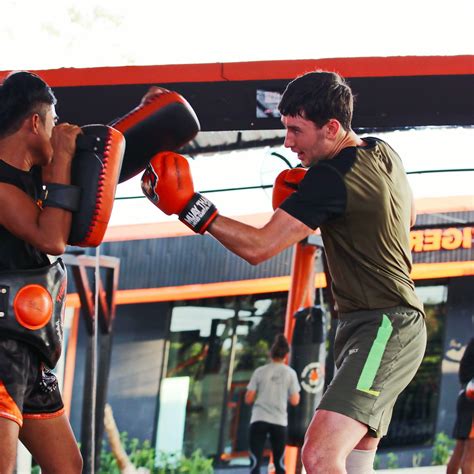 tiger muay thai and mma training camp chiang mai mae faek mai all you need to know before