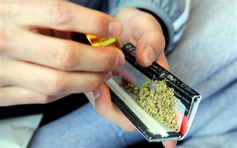 Trafic De Drogue Le Cannabis Est De Plus En Plus Fort Le Parisien