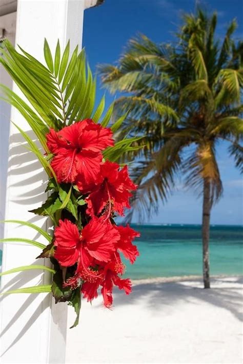 Red Hibiscus Flowers On A White Pillar In The Caribbean Palm Tree And